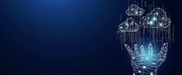 Fast Speed managed network support